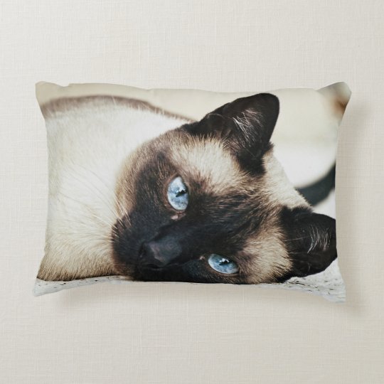 Siamese Cat Pillow | Zazzle.com