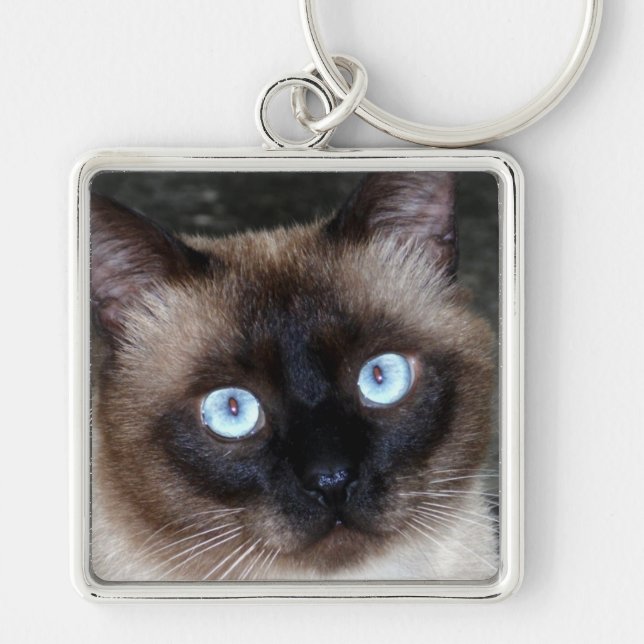 Siamese Cat Portrait Keychain (Front)