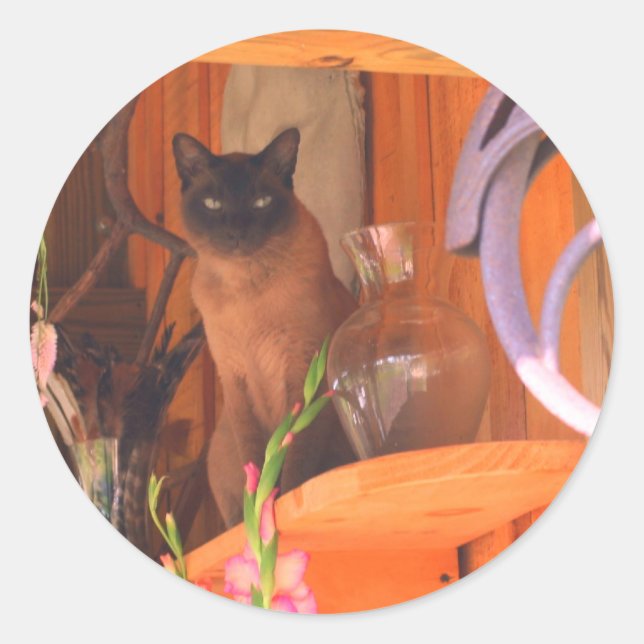Siamese Cat Posing 2 Animal  Classic Round Sticker (Front)