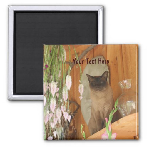 Siamese Cat Posing Animal Photography Magnet 1