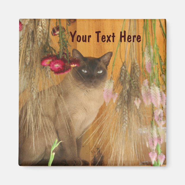 Siamese Cat Posing Animal Photography Magnet #3 (Front)