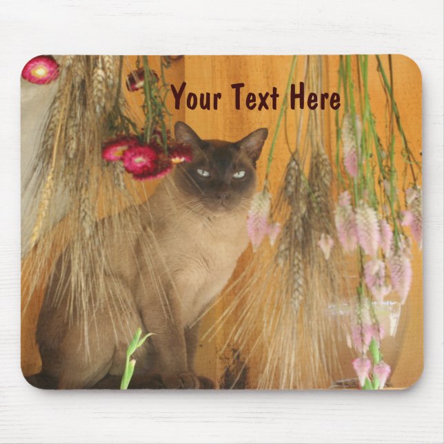 Siamese Cat Posing Animal Photography Mousepad #3 (Front)