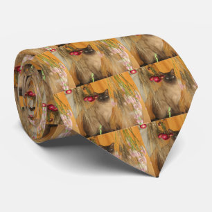 Siamese Cat Posing Animal Photography Tie