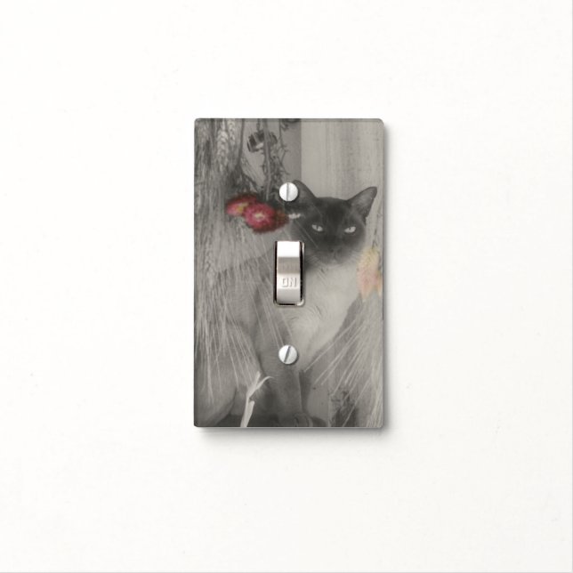 Siamese Cat Posing In Black And White Light Switch Cover (In Situ)