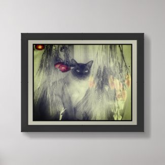 Siamese Cat Posing Partial Color Framed