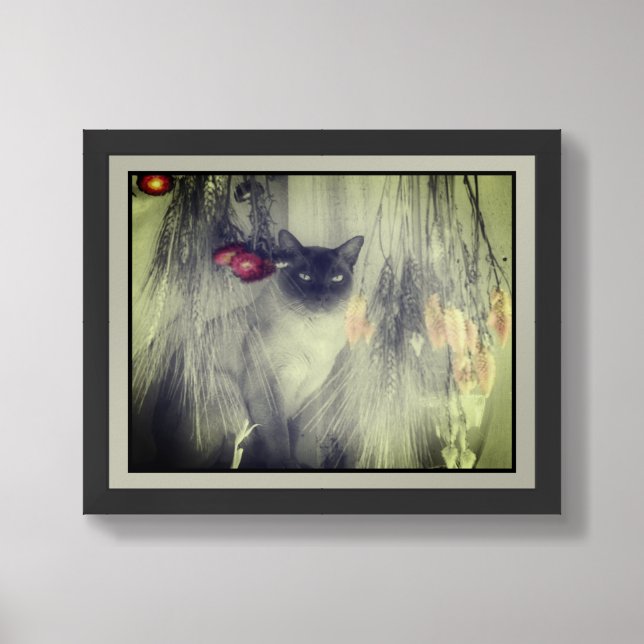 Siamese Cat Posing Partial Color Framed Framed Art (Framed Front)