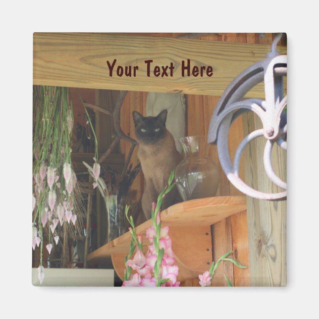 Siamese Cat Posing Personalized Animal #2 Magnet (Front)