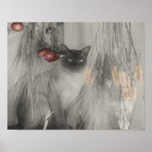 Siamese Cat Posing Vintage Partial Color Poster