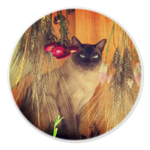 Siamese Cat Posing With Flowers  Ceramic Knob