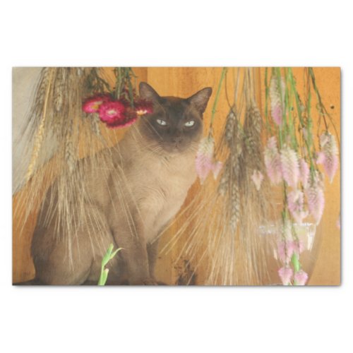 Siamese Cat Posing With Flowers Decoupage Tissue Paper