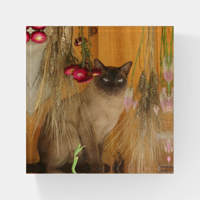 Siamese Cat Posing With Flowers Paperweight (Front)