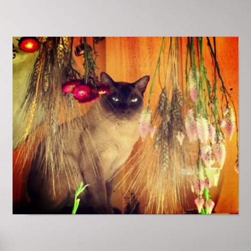 Siamese Cat Posing With Flowers Poster