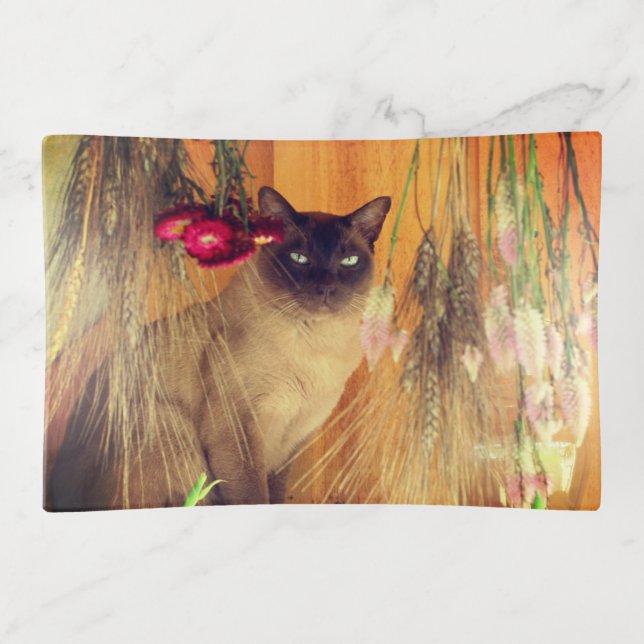Siamese Cat Posing With Flowers  Trinket Tray (Front)