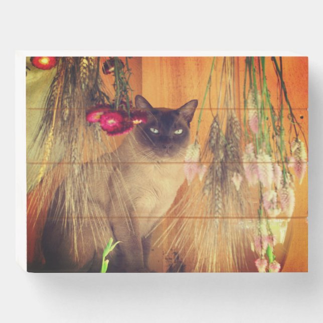 Siamese Cat Posing With Flowers  Wooden Box Sign (Front Horizontal)