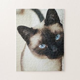 Siamese cat puzzle