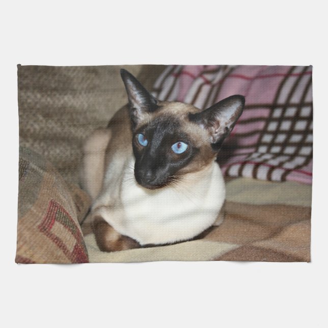 Siamese Cat Relaxing on Couch Towel (Horizontal)
