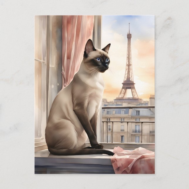 Siamese Cat Relaxing on Parisian Window Sill Postcard (Front)