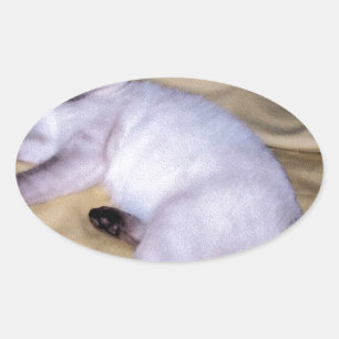 Siamese cat sandstone animal art pet cute kitty oval sticker