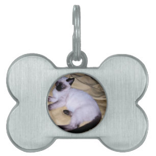 Siamese cat sandstone animal art pet cute kitty tag