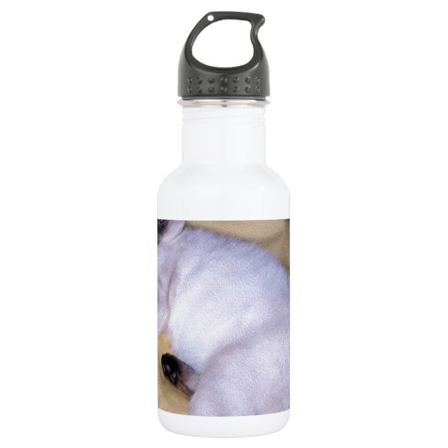 Siamese cat sandstone animal art pet cute kitty water bottle (Front)