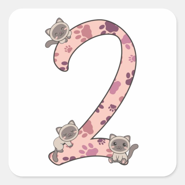 Siamese Cat Second Birthday For Kids Cats Square S Sticker (Front)