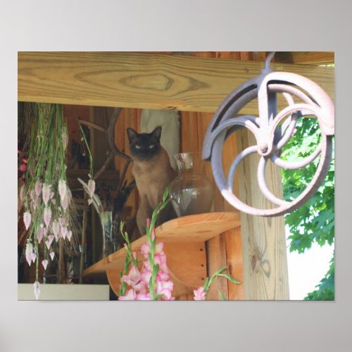 Siamese Cat Sitting On Shelf Animal Poster