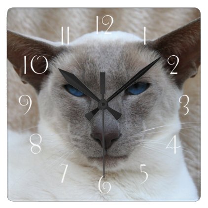 Siamese Cat Square Wall Clock