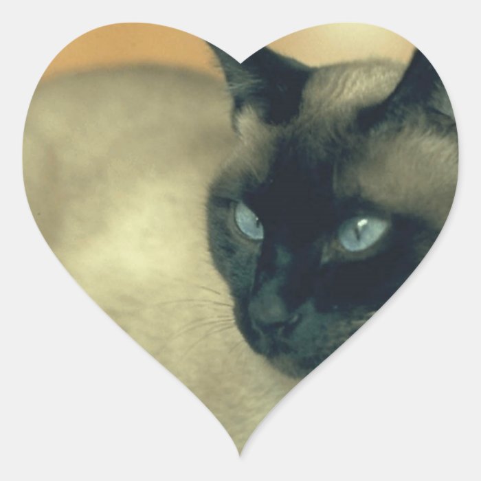 Siamese Cat Sticker