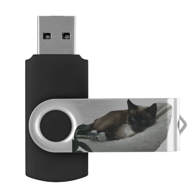 Siamese Cat USB-Stick Flash Drive (Opened)
