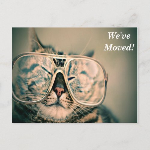 Siamese Cat Weve Moved New Address Postcard