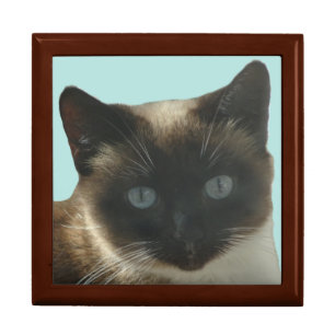 Siamese Cat with Bright Blue Eyed Keepsake Box