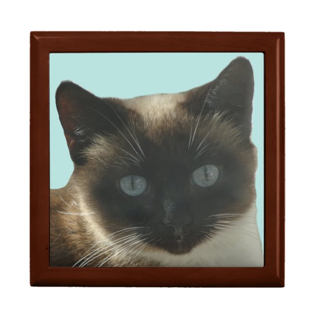 Siamese Cat with Bright Blue Eyed Keepsake Box (Front)