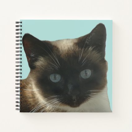 Siamese Cat with Bright Blue Eyes Notebook