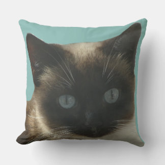 Siamese Cat with Bright Blue Eyes Pillow