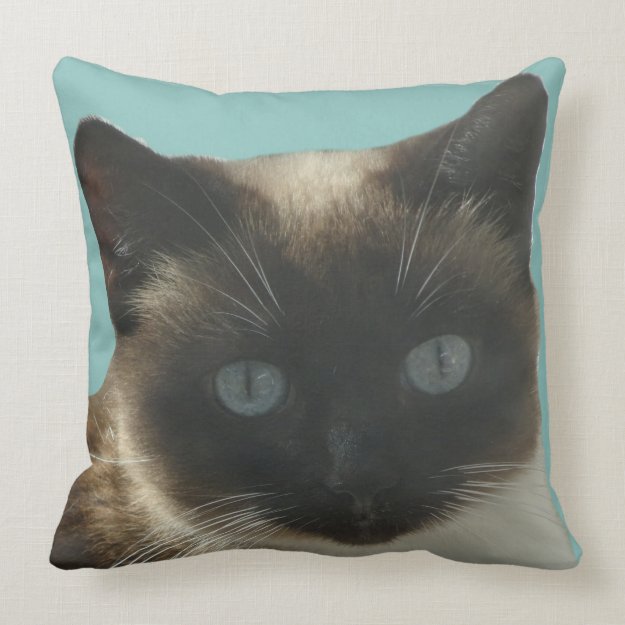 Siamese Cat with Bright Blue Eyes Pillow