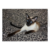 Siamese Cat with Leopard Print Wild Animal Spots (Front Horizontal)