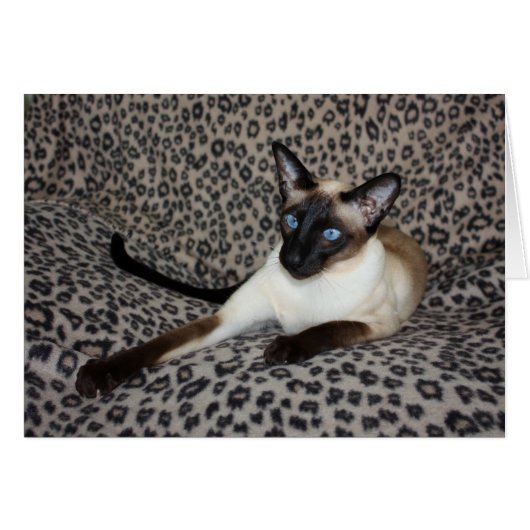 Siamese Cat with Leopard Print Wild Animal Spots Cards (Front Horizontal)