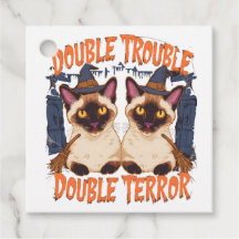 Siamese Cats and Creaking Doors