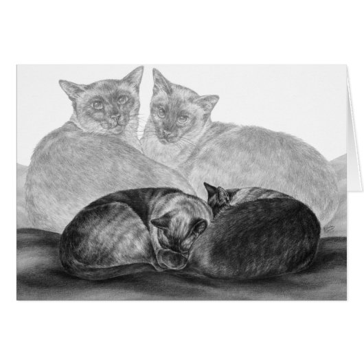 Siamese Cats Drawing by Kelli Swan Cards (Front Horizontal)