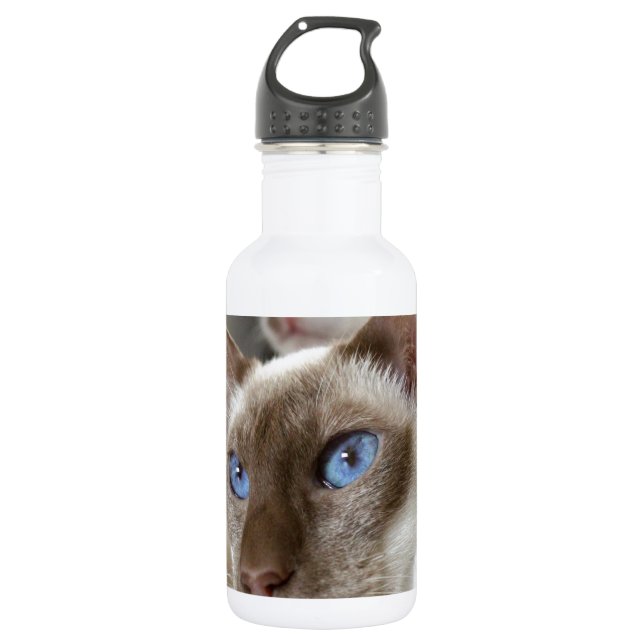 Siamese  Cats Pets Animals Stainless Steel Water Bottle (Front)