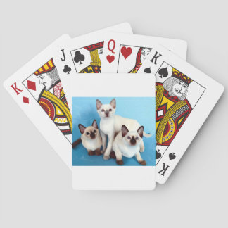 Siamese Cats Poker Cards