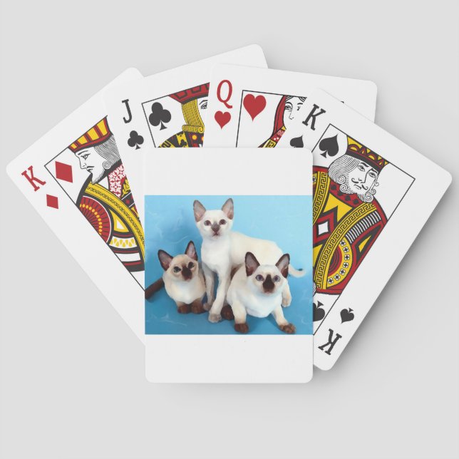 Siamese Cats Poker Cards (Back)