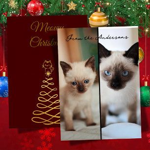 Siamese christmas holiday card