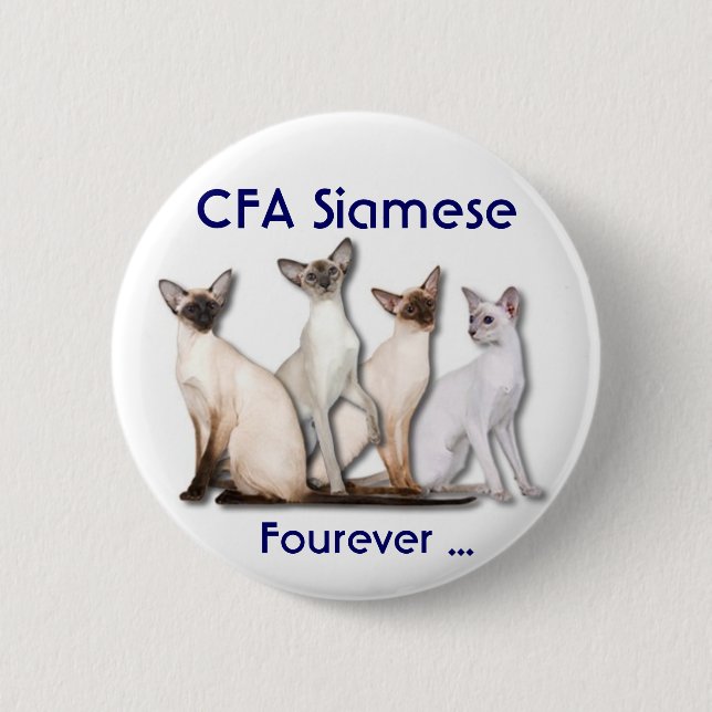 Siamese Forever Pinback Button (Front)