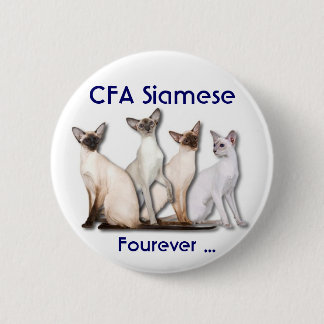 Siamese Forever Pinback Button
