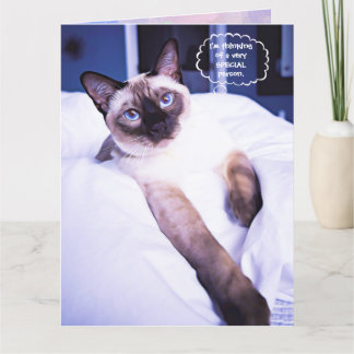 Siamese Greeting Birthday Card