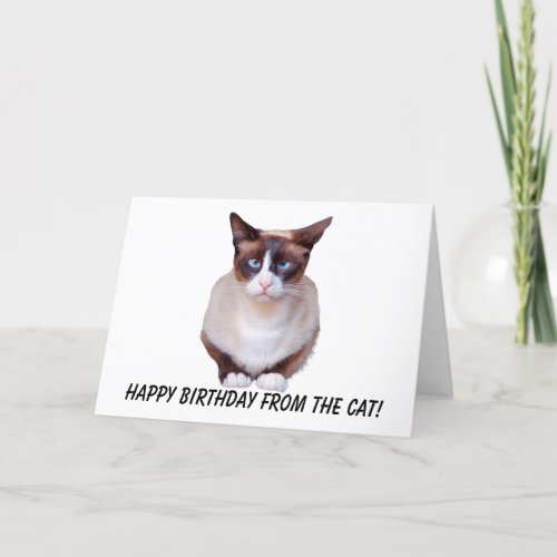 Siamese Happy Birthday Card