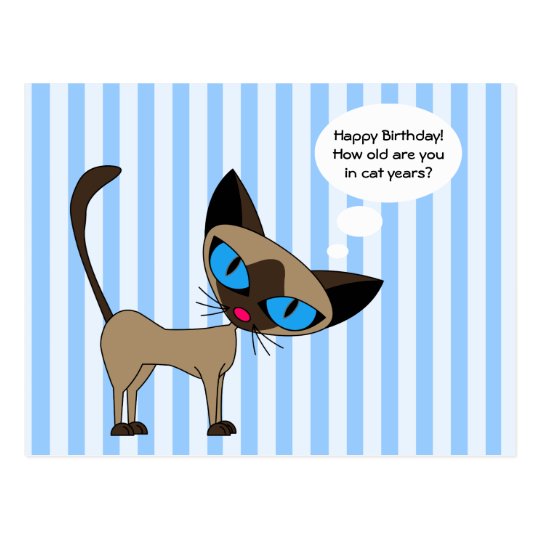 Siamese - Happy Birthday Cat Years - Postcard | Zazzle.com