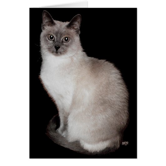Siamese if you Please! Cards (Front)
