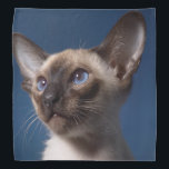 Siamese Kitten Bandana<br><div class="desc">A Siamese kitten decorates this lovely bandana</div>